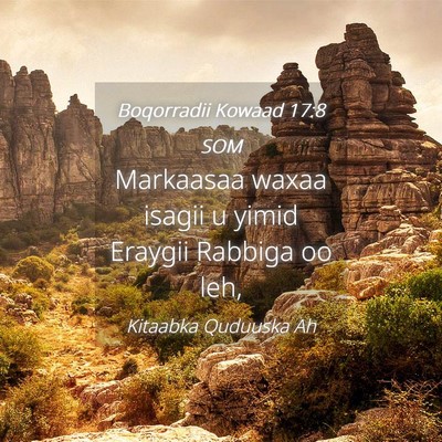 Picture 04 - Boqorradii Kowaad 17:8 SOM - Markaasaa waxaa isagii u yimid Eraygii Rabbiga oo - Bible Verse Picture