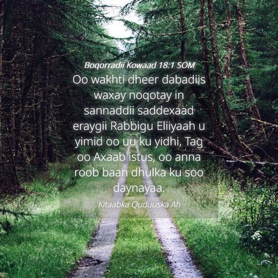 Picture 04 - Boqorradii Kowaad 18:1 SOM - Oo wakhti dheer dabadiis waxay noqotay in - Bible Verse Picture