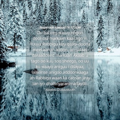 Picture 04 - Boqorradii Kowaad 18:12 SOM - Oo bal eeg waxay noqon doontaa markaan kaa tago - Bible Verse Picture