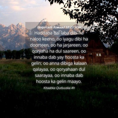Picture 04 - Boqorradii Kowaad 18:23 SOM - Haddaba bal laba dibi ha naloo keeno, oo iyagu - Bible Verse Picture