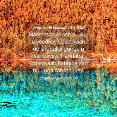 Picture 04 - Boqorradii Kowaad 18:3 SOM - Markaasaa Axaab wuxuu u yeedhay Cobadyaah oo - Bible Verse Picture