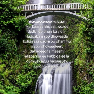 Picture 04 - Boqorradii Kowaad 18:30 SOM - Markaasaa Eliiyaah wuxuu dadkii oo dhan ku yidhi, - Bible Verse Picture