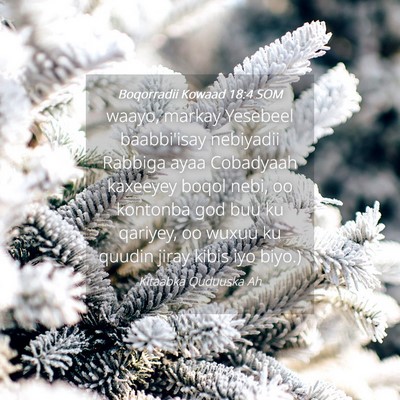 Picture 04 - Boqorradii Kowaad 18:4 SOM - waayo, markay Yesebeel baabbi'isay nebiyadii - Bible Verse Picture