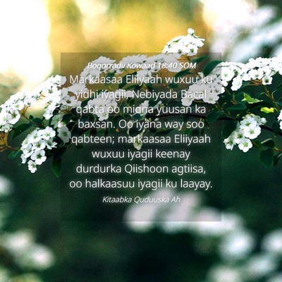 Picture 04 - Boqorradii Kowaad 18:40 SOM - Markaasaa Eliiyaah wuxuu ku yidhi iyagii, - Bible Verse Picture