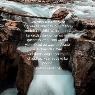 Picture 04 - Boqorradii Kowaad 18:44 SOM - Oo waxaa dhacday inuu markii toddobaad yidhi, - Bible Verse Picture