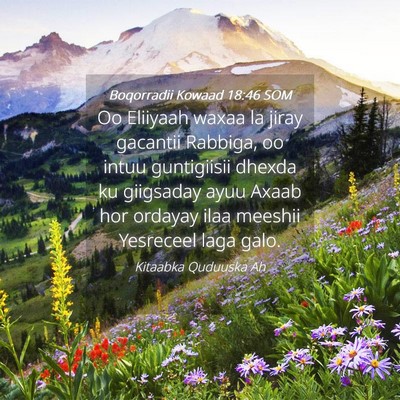 Picture 04 - Boqorradii Kowaad 18:46 SOM - Oo Eliiyaah waxaa la jiray gacantii Rabbiga, oo - Bible Verse Picture