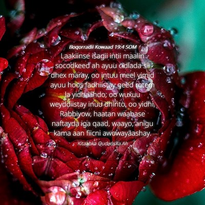 Picture 04 - Boqorradii Kowaad 19:4 SOM - Laakiinse isagii intii maalin socodkeed ah ayuu - Bible Verse Picture