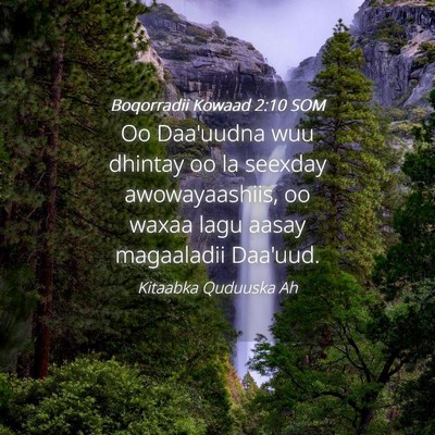 Picture 04 - Boqorradii Kowaad 2:10 SOM - Oo Daa'uudna wuu dhintay oo la seexday - Bible Verse Picture