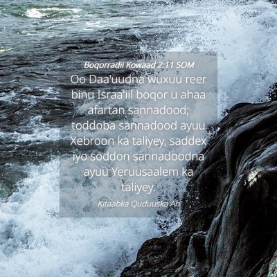 Picture 04 - Boqorradii Kowaad 2:11 SOM - Oo Daa'uudna wuxuu reer binu Israa'iil boqor u - Bible Verse Picture