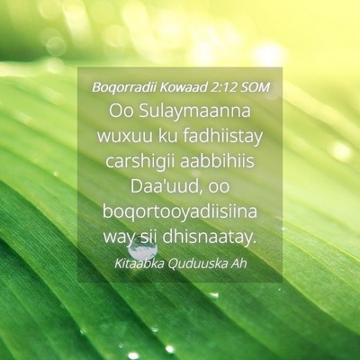 Picture 04 - Boqorradii Kowaad 2:12 SOM - Oo Sulaymaanna wuxuu ku fadhiistay carshigii - Bible Verse Picture