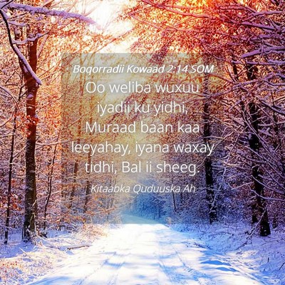 Picture 04 - Boqorradii Kowaad 2:14 SOM - Oo weliba wuxuu iyadii ku yidhi, Muraad baan kaa - Bible Verse Picture