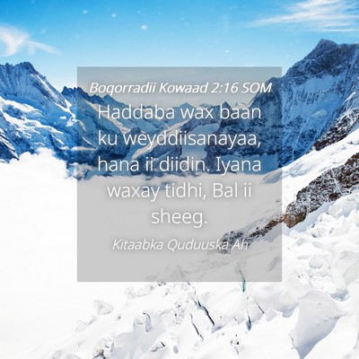 Picture 04 - Boqorradii Kowaad 2:16 SOM - Haddaba wax baan ku weyddiisanayaa, hana ii - Bible Verse Picture