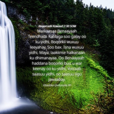 Picture 04 - Boqorradii Kowaad 2:30 SOM - Markaasaa Benaayaah Teendhadii Rabbiga soo galay - Bible Verse Picture