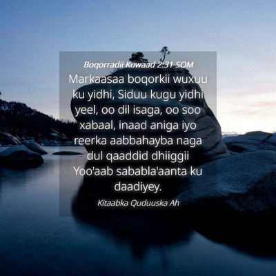 Picture 04 - Boqorradii Kowaad 2:31 SOM - Markaasaa boqorkii wuxuu ku yidhi, Siduu kugu - Bible Verse Picture