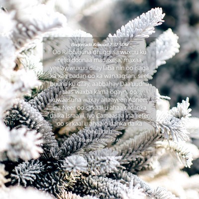 Picture 04 - Boqorradii Kowaad 2:32 SOM - Oo Rabbiguna dhiiggiisa wuxuu ku celin doonaa - Bible Verse Picture