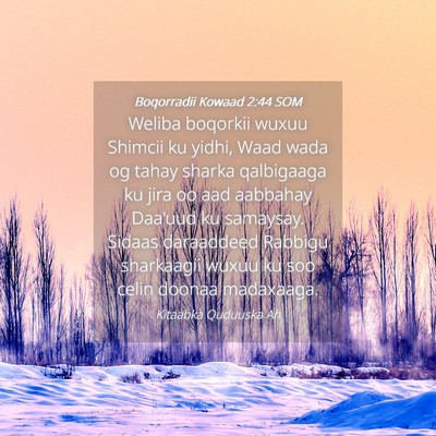 Picture 04 - Boqorradii Kowaad 2:44 SOM - Weliba boqorkii wuxuu Shimcii ku yidhi, Waad wada - Bible Verse Picture