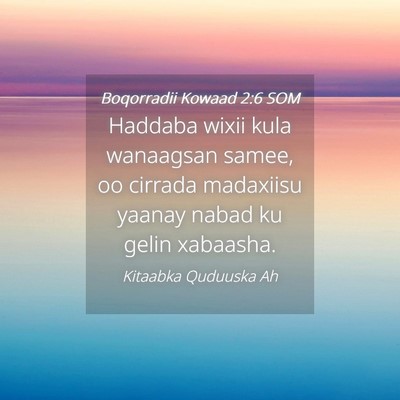 Picture 04 - Boqorradii Kowaad 2:6 SOM - Haddaba wixii kula wanaagsan samee, oo cirrada - Bible Verse Picture