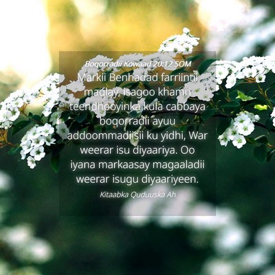 Picture 04 - Boqorradii Kowaad 20:12 SOM - Markii Benhadad farriintii maqlay, isagoo khamri - Bible Verse Picture