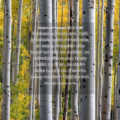 Picture 04 - Boqorradii Kowaad 20:15 SOM - Markaasuu tiriyey amiirradii gobollada - Bible Verse Picture
