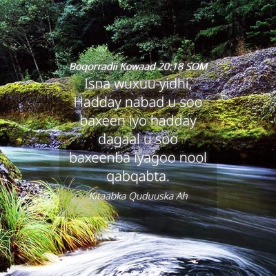 Picture 04 - Boqorradii Kowaad 20:18 SOM - Isna wuxuu yidhi, Hadday nabad u soo baxeen iyo - Bible Verse Picture