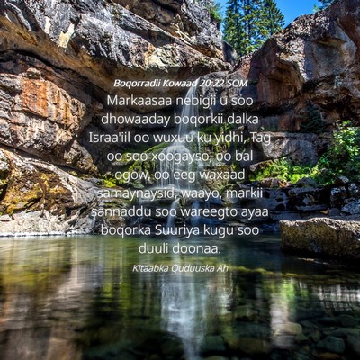 Picture 04 - Boqorradii Kowaad 20:22 SOM - Markaasaa nebigii u soo dhowaaday boqorkii dalka - Bible Verse Picture