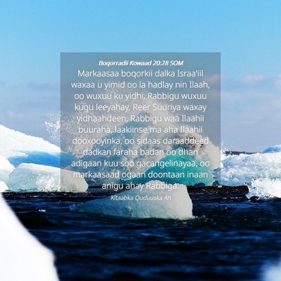 Picture 04 - Boqorradii Kowaad 20:28 SOM - Markaasaa boqorkii dalka Israa'iil waxaa u yimid - Bible Verse Picture