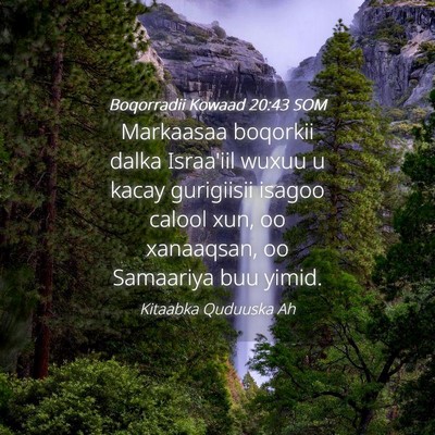 Picture 04 - Boqorradii Kowaad 20:43 SOM - Markaasaa boqorkii dalka Israa'iil wuxuu u kacay - Bible Verse Picture