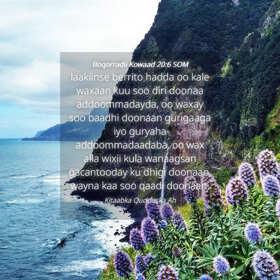 Picture 04 - Boqorradii Kowaad 20:6 SOM - laakiinse berrito hadda oo kale waxaan kuu soo - Bible Verse Picture