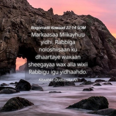 Picture 04 - Boqorradii Kowaad 22:14 SOM - Markaasaa Miikayhuu yidhi, Rabbiga noloshiisaan - Bible Verse Picture
