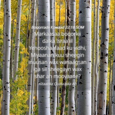 Picture 04 - Boqorradii Kowaad 22:18 SOM - Markaasaa boqorkii dalka Israa'iil Yehooshaafaad - Bible Verse Picture