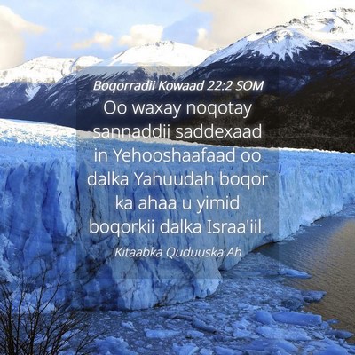 Picture 04 - Boqorradii Kowaad 22:2 SOM - Oo waxay noqotay sannaddii saddexaad in - Bible Verse Picture
