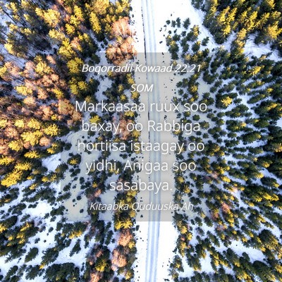 Picture 04 - Boqorradii Kowaad 22:21 SOM - Markaasaa ruux soo baxay, oo Rabbiga hortiisa - Bible Verse Picture