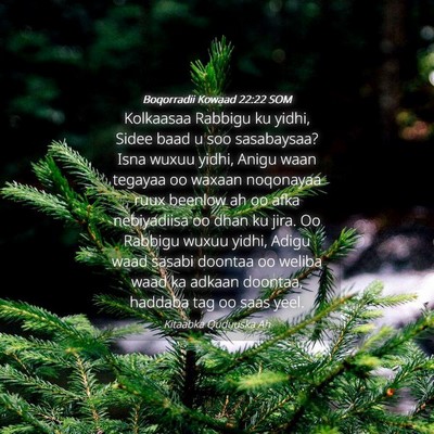Picture 04 - Boqorradii Kowaad 22:22 SOM - Kolkaasaa Rabbigu ku yidhi, Sidee baad u soo - Bible Verse Picture