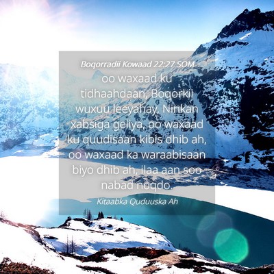 Picture 04 - Boqorradii Kowaad 22:27 SOM - oo waxaad ku tidhaahdaan, Boqorkii wuxuu - Bible Verse Picture