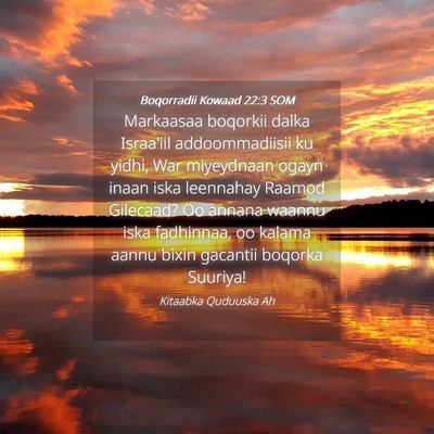 Picture 04 - Boqorradii Kowaad 22:3 SOM - Markaasaa boqorkii dalka Israa'iil addoommadiisii - Bible Verse Picture