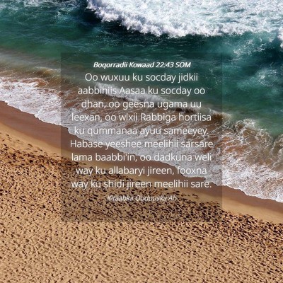 Picture 04 - Boqorradii Kowaad 22:43 SOM - Oo wuxuu ku socday jidkii aabbihiis Aasaa ku - Bible Verse Picture