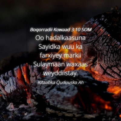 Picture 04 - Boqorradii Kowaad 3:10 SOM - Oo hadalkaasuna Sayidka wuu ka farxiyey markii - Bible Verse Picture