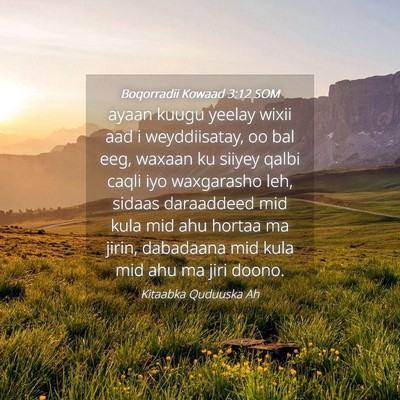 Picture 04 - Boqorradii Kowaad 3:12 SOM - ayaan kuugu yeelay wixii aad i weyddiisatay, oo - Bible Verse Picture