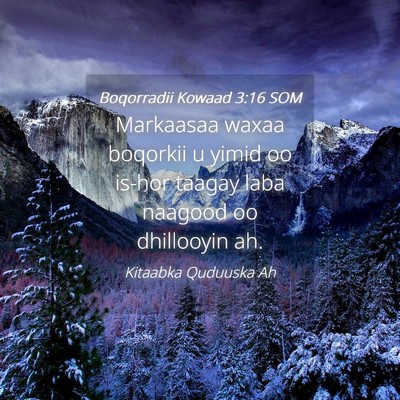Picture 04 - Boqorradii Kowaad 3:16 SOM - Markaasaa waxaa boqorkii u yimid oo is-hor taagay - Bible Verse Picture