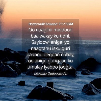 Picture 04 - Boqorradii Kowaad 3:17 SOM - Oo naagihii middood baa waxay ku tidhi, Sayidow, - Bible Verse Picture