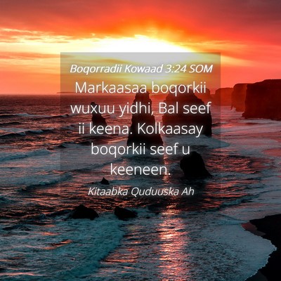 Picture 04 - Boqorradii Kowaad 3:24 SOM - Markaasaa boqorkii wuxuu yidhi, Bal seef ii - Bible Verse Picture