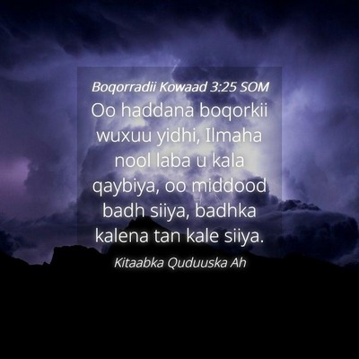 Picture 04 - Boqorradii Kowaad 3:25 SOM - Oo haddana boqorkii wuxuu yidhi, Ilmaha nool laba - Bible Verse Picture