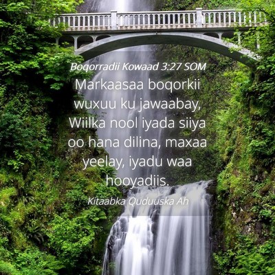 Picture 04 - Boqorradii Kowaad 3:27 SOM - Markaasaa boqorkii wuxuu ku jawaabay, Wiilka nool - Bible Verse Picture
