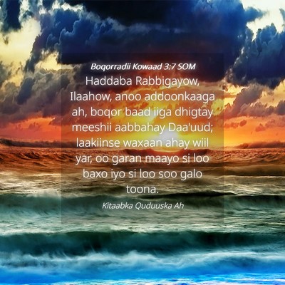 Picture 04 - Boqorradii Kowaad 3:7 SOM - Haddaba Rabbigayow, Ilaahow, anoo addoonkaaga ah, - Bible Verse Picture