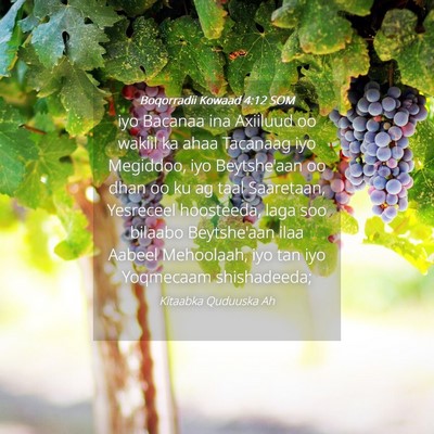 Picture 04 - Boqorradii Kowaad 4:12 SOM - iyo Bacanaa ina Axiiluud oo wakiil ka ahaa - Bible Verse Picture