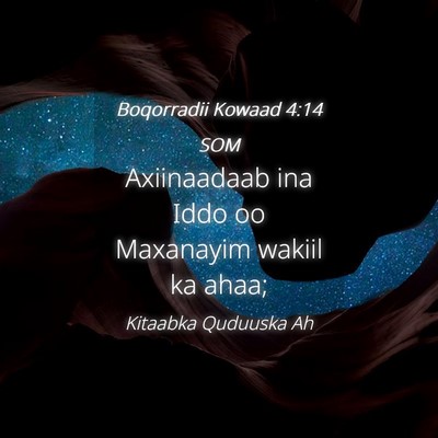 Picture 04 - Boqorradii Kowaad 4:14 SOM - Axiinaadaab ina Iddo oo Maxanayim wakiil ka - Bible Verse Picture