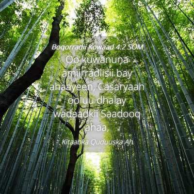 Picture 04 - Boqorradii Kowaad 4:2 SOM - Oo kuwanuna amiirradiisii bay ahaayeen, Casaryaah - Bible Verse Picture