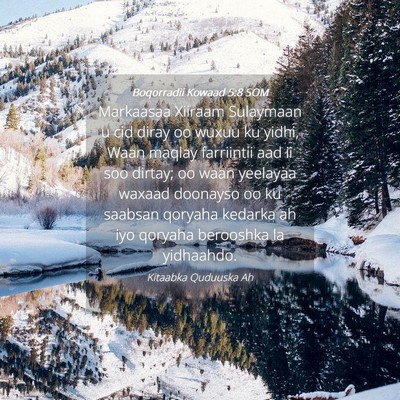 Picture 04 - Boqorradii Kowaad 5:8 SOM - Markaasaa Xiiraam Sulaymaan u cid diray oo wuxuu - Bible Verse Picture