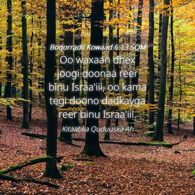 Picture 04 - Boqorradii Kowaad 6:13 SOM - Oo waxaan dhex joogi doonaa reer binu Israa'iil, - Bible Verse Picture