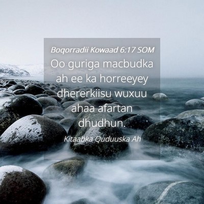 Picture 04 - Boqorradii Kowaad 6:17 SOM - Oo guriga macbudka ah ee ka horreeyey dhererkiisu - Bible Verse Picture